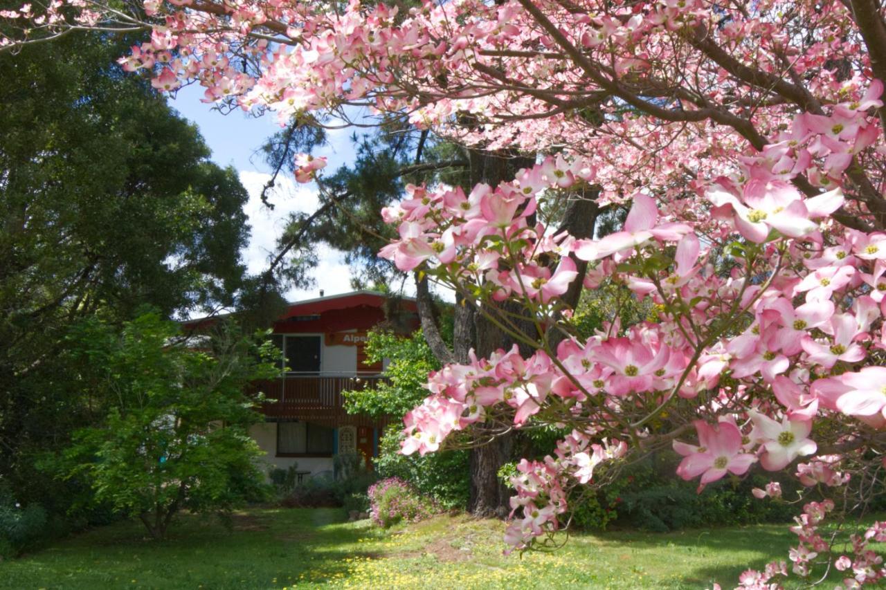 Alpenhorn Holiday Units 마운트 뷰티 외부 사진